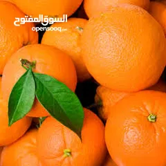  5 فواكه وخضروات يمانيه للتصدير وبسعر المزرعه