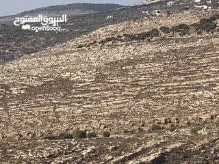  2 ارض للبيع في كفر قدوم