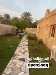  1 مزرعة جميله عائليه هادئه تصلح للحفلات للإيجار اليومي في رأس الخيمة