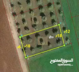  1 620متر - اراضي سال - ضمن حوض عليا الغربي مرزوعة زيتون