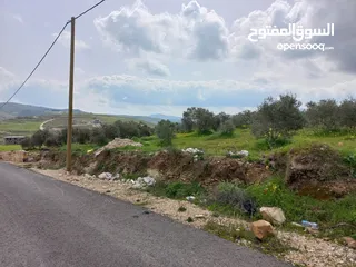  4 ارض مميزة 5 دونمات باجمل مواقع بيت امرين على قمة جبل كوشان طابو