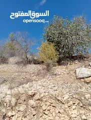  9 أرض مميزة للبيع