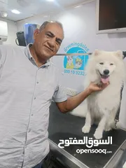 19 Ayman dogs trainer