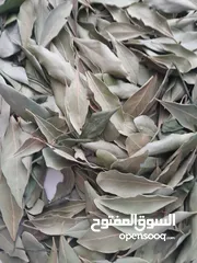  1 ورق غار مغسول ومجفف  طبيعيا الوقيه   +ميراميه الوقيه