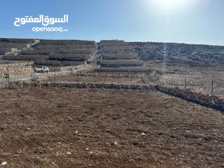  2 قطعتين مجاورتان للبيع في ضاحية النسيم دومه /دورا اول الظاهريه ، تصنيف الف بناء طابو