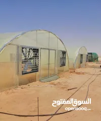  2 صوبات زراعية بيوت محمية Greenhouse