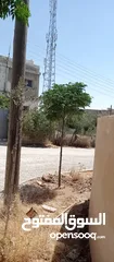  4 بيوت للبيع