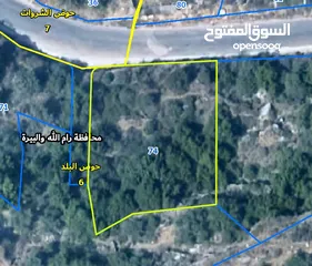  1 عجول قطعة ارض 871 متر كوشان طابو مستقل سلطة أ