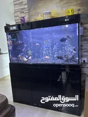  2 حوض اسماك اجنبي مع ساب داخلي
