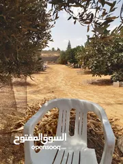  1 مزرعه للبيع