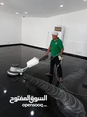  8 Bibi cleaning