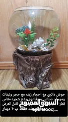  1 حواض مع قاعده