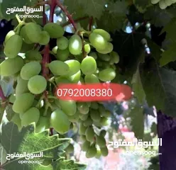  23 مزرعة لقطة مميزة مع بيت طابقين مطلة ومرتفعة