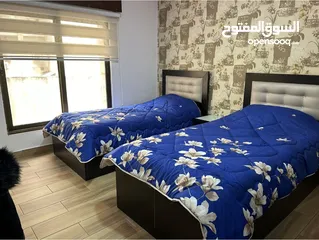  6 كوزمو السابع شقة 2نوم مفروشة للايجار