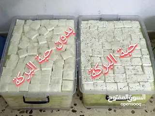  5 جبنه غنم بلديه 100%