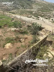  7 أرض مساحة 6دونمات مع بيت 230 متر