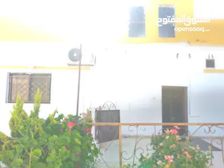  2 بيت للبيع منشيه بني حسن الحي الشرقي على البيت دلم ارض