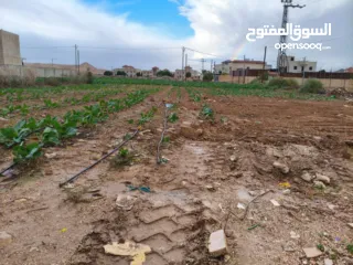  3 500 متر للبيع