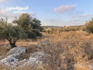  10 ارض للبيع مميزة مطله وبسعر مميز جدا
