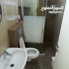  6 شقة مفروشة للايجار في الماصيون