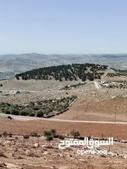  10 ارض للبيع جرش عنيبه قطعه مميزه جدا