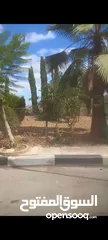  1 ارض للبيع صالحه للبيناء فلل على 3شوارع الطيره