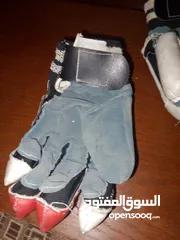  1 cricket batsman gloves of grey nicolls it is a pair
