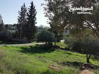  3 قطعة أرض مميزة في السلط الصبيحي سيحان بسعر مغري بمنطقة جميلة
