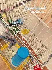  8 متفرقات منزل برادي عصافير ثريات