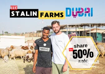  1 Looking for a partner for a sheep farm in the UAE