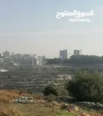  4 ارض مميزه للبيع