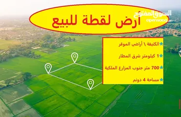  7 الكتيفة أفضل حوض , كيلو متر واحد فقط عن مطار الملكة علياء الدولي, 700 م عن مزرعة سمو الأميرة الموقر