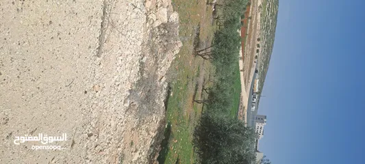  10 ارض للبيع ناعور الجديده حوض البويضه بالقرب من مدارس الجاليات ومدرسه ايبك قطعه سكنيه للفلل