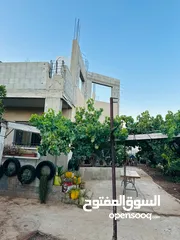  9 ابونعيم عمر