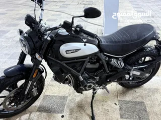  2 ‏2020 Ducati Scrambler 800cc – Only 1,600km, Like New دوكاتي سكرامبلر  بحالة شبه جديدة