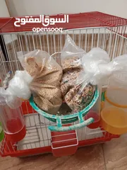 5 قفص مع اغراض كثير اقرأ الوصف