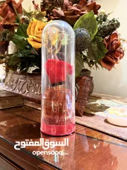  1 سكاندل تنورة احمر من جيني 100ml
