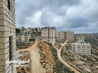  1 شقه عظم للبيع مقابل جامعه بير زيت