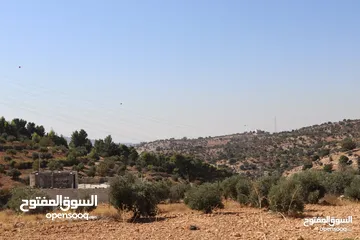  3 (1)ارض للبيع في بدر الجديده 813م حوض ابو مفراز مستويه ومطله بموقع مميز وسعر ممتاز