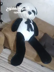 4 دبدوب باندا طول متر ونصف