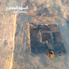  6 قطعه او مميزه مشجره زيتون