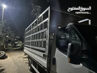  1 افيكو ديلي