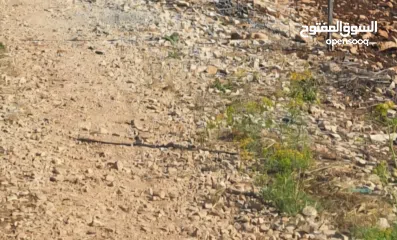  1 ارض للبيع سكني دونم ونص في برطعة  ايضا 11 دونم زراعي للبيع