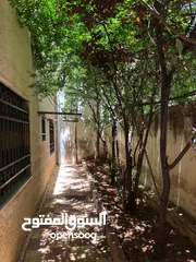  3 بيت مستقل فارغ للايجار في منطقة الياسمين 140 متر