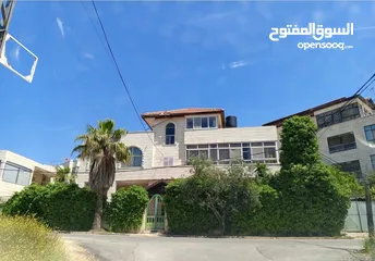  3 منزل للبيع في بتونيا
