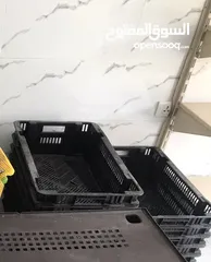  6 مكبس / كاميرات / سلات دواجن / ماكينه تغليف