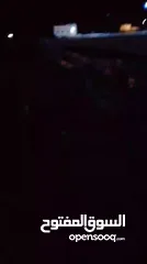  2 بسم الله ما شاء الله جرو بندوق مالينو نخب شرسسس جداااا شغل حراسة والسعر حرف 70دينار الموقع المفرق
