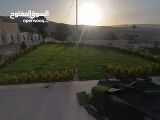  10 عشب صناعي (ترتان) وأشجار و ورد صناعي