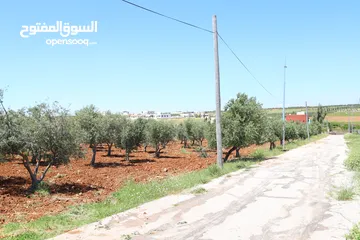  12 مادبا الفيحاء قطعتين متجاورتين  بجانب التنظيم غرب النديم والحراويه بمنطقة فلل ومزارع خاصة