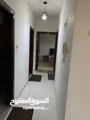  11 شقة مفروشة للإيجار في شارع الجامعة 2نوم 320